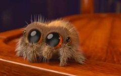 魔奇英语魔奇力荐:豆瓣9.4播放1.79亿,一只不一样的小蜘蛛