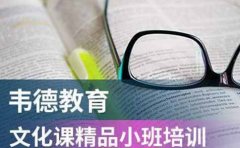 沈阳韦德教育2024艺考专业考试科目及分值